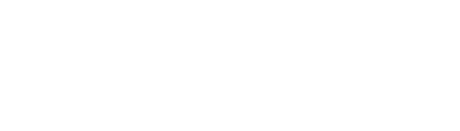 Schmiedet_Zusammen_Logo_White